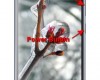 hard reset asus zenfone 3