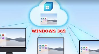 Important Things About WINDOWS 365 Before Use this Product